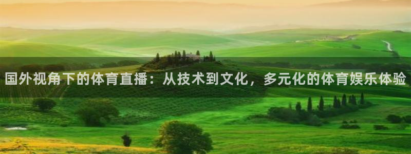 松鼠体育下载：国外视角下的体育直播：从技术到文化，多元化的体育娱乐体验
