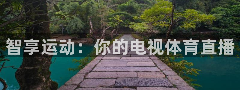 松鼠体育在线直播：智享运动：你的电视体育直播