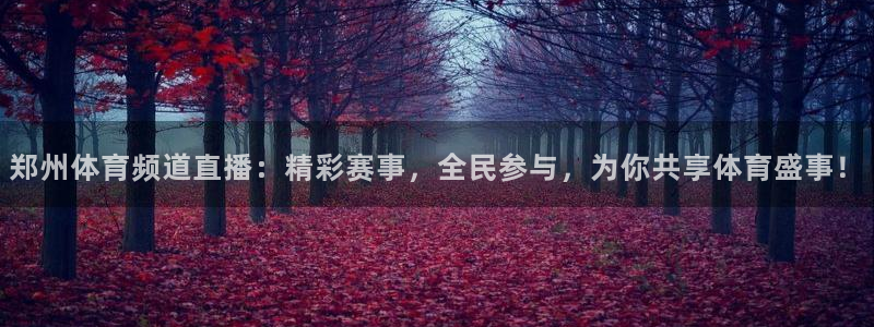 松鼠体育在线直播：郑州体育频道直播：精彩赛事，全民参与，为你共享体育盛事！