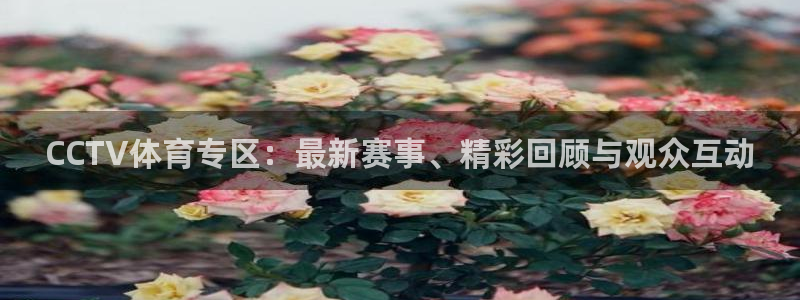 松鼠体育在线直播：CCTV体育专区：最新赛事、精彩回顾与观众互动