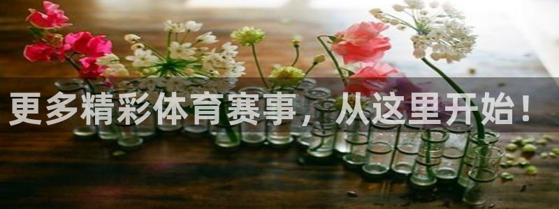 松鼠网官方下载：更多精彩体育赛事，从这里开始！