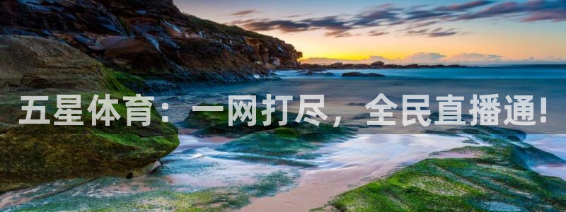 松鼠体育下载：五星体育：一网打尽，全民直播通!