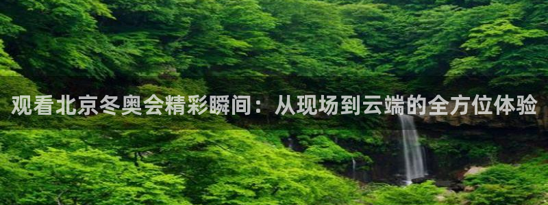 下载松鼠电视直播：观看北京冬奥会精彩瞬间：从现场到云端的全方位体验